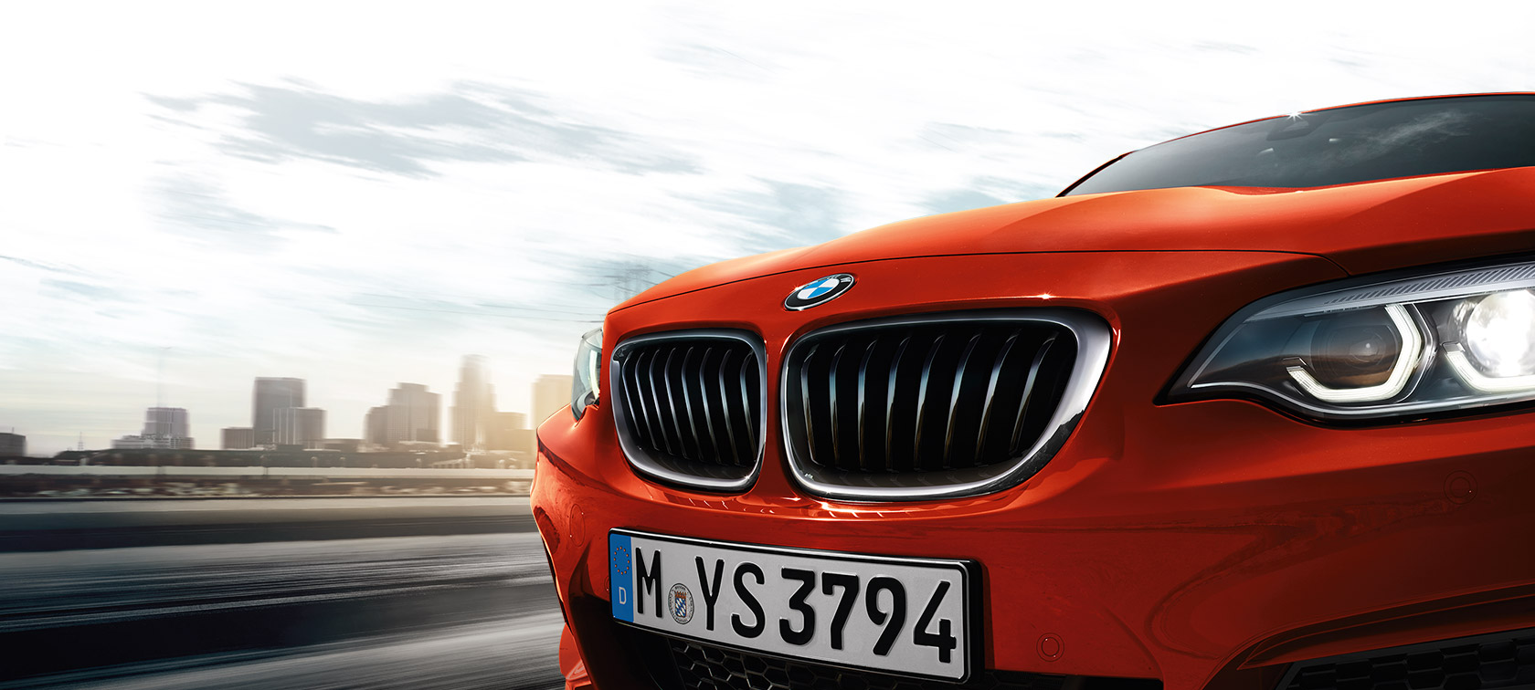 BMW 2シリーズ クーペ キドニーグリル F22 BMW 2シリーズ クーペ キドニーグリル F22